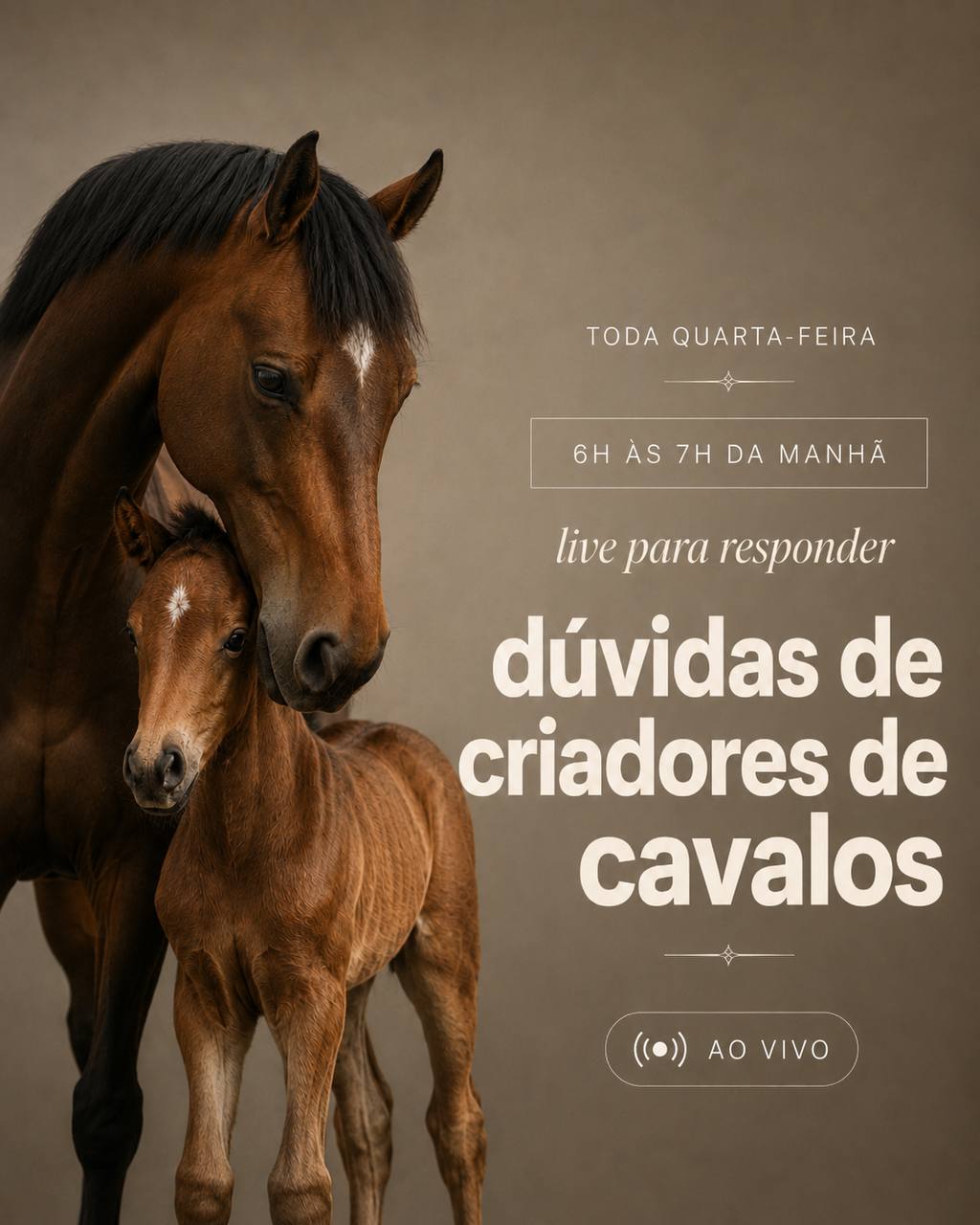 Arte oficial do tira-dúvidas ao vivo: égua e potro, toda quarta-feira das 6h às 7h da manhã