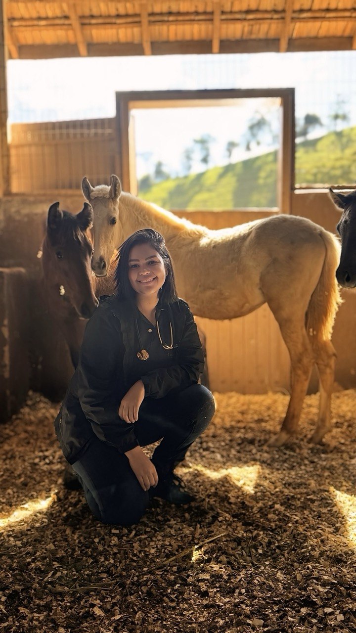 Lorrane Pacheco, médica veterinária equina, agachada entre cavalos em haras